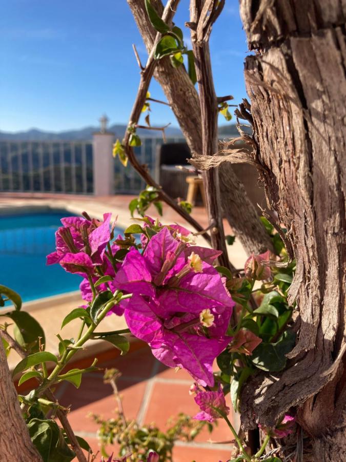 Casa La Quinta Bed & Breakfast Riogordo Exterior photo